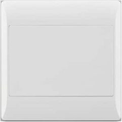 BLANKING PLATE
